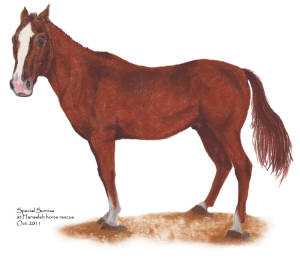 Special Sunrise at Hanaeleh Ranch