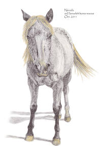 Nevada at Hanaeleh Ranch