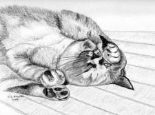 Siamese rescue cat Tinkerbelle enjoying her nap